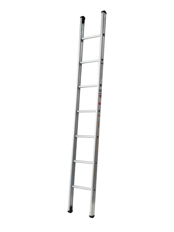 Single-Pole-Ladder