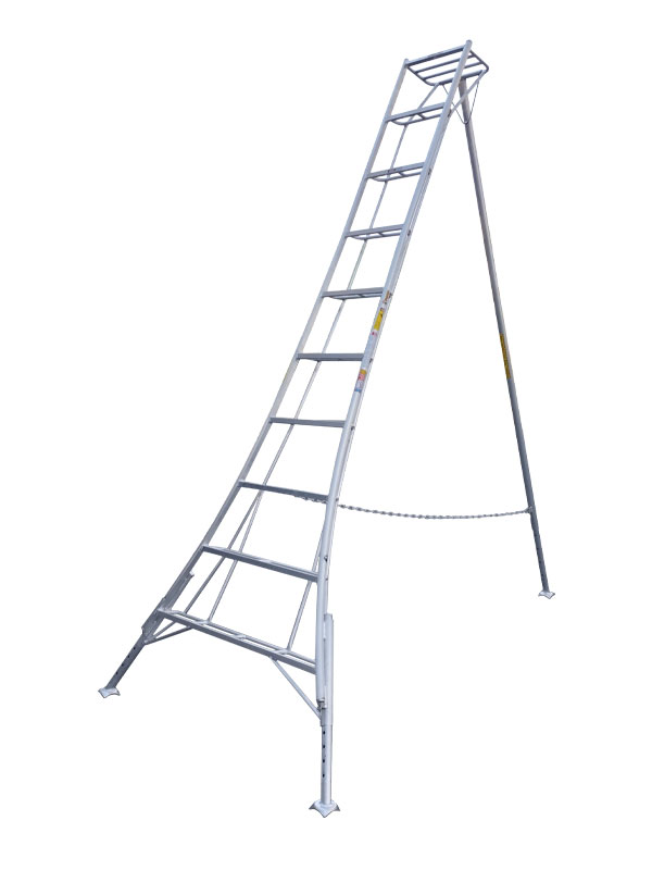 Tripod-Harvesting-Ladder